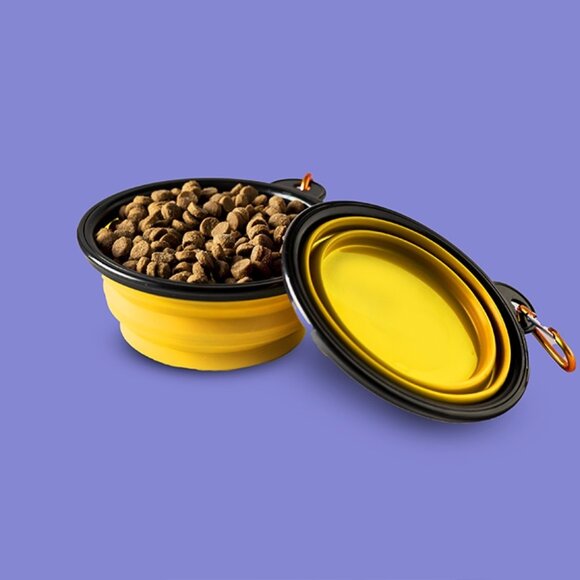 2-in-1 Collapsible Feeding Bowl - Picture 13 of 16